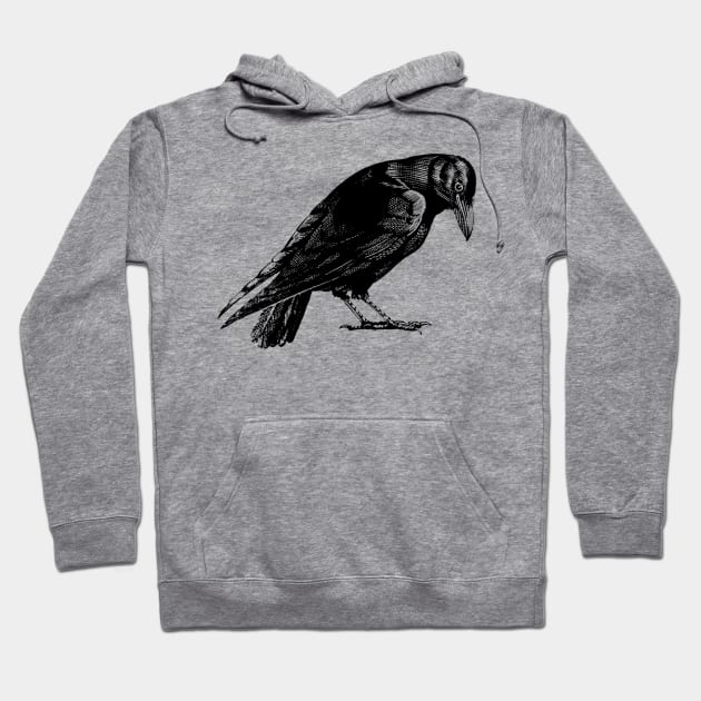 Curious Crow or Raven Hoodie by Pixelchicken